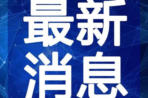老杨最新爆料新闻视频,最新爆料新闻视频深度解析